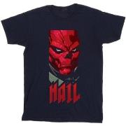 T-shirt Marvel Avengers Hail