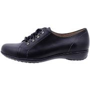 Derbies Piesanto 1701