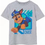 T-shirt enfant Paw Patrol NS7744