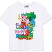 T-shirt enfant Sonic The Hedgehog NS7429