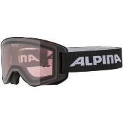 Accessoire sport Alpina -