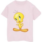 T-shirt Dessins Animés BI35707