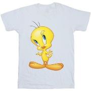 T-shirt Dessins Animés Tweety Standing