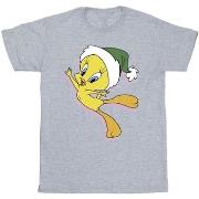 T-shirt Dessins Animés BI36740