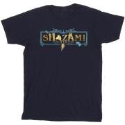 T-shirt enfant Dc Comics Shazam Fury Of The Gods Golden Logo