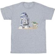 T-shirt Disney The Mandalorian R2D2 And Grogu