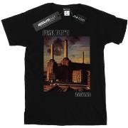 T-shirt Pink Floyd Animals