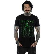 T-shirt The Matrix BI42880