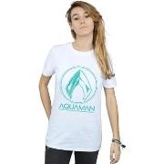 T-shirt Dc Comics Aquaman Aqua Logo