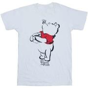 T-shirt enfant Disney Winnie The Pooh Drawing