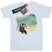 T-shirt enfant Marvel Ant-Man Shatter