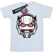 T-shirt enfant Marvel BI6854