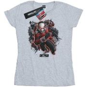 T-shirt Marvel BI7604