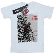 T-shirt Marvel BI9472