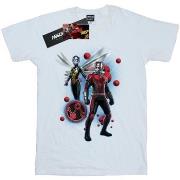 T-shirt Marvel BI9687