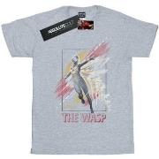 T-shirt Marvel BI9689