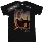 T-shirt enfant Pink Floyd Animals