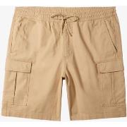 Short Quiksilver Taxer Cargo