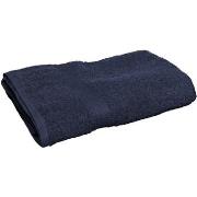 Serviettes et gants de toilette Towel City 30 cm x 50 cm RW2880