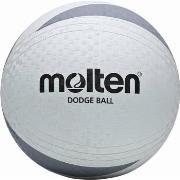 Ballons de sport Molten CS1546