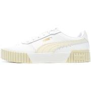 Baskets basses Puma 385849-23