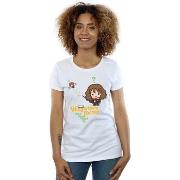 T-shirt enfant Harry Potter BI1624