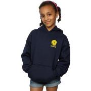 Sweat-shirt enfant Dessins Animés BI9088