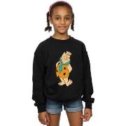 Sweat-shirt enfant The Flintstones Fred Flintstone Kick