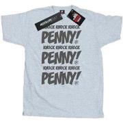 T-shirt The Big Bang Theory Sheldon Knock Knock Penny