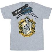 T-shirt Harry Potter BI1331