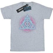 T-shirt Harry Potter BI29720