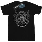 T-shirt Harry Potter BI29847