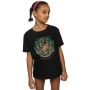 T-shirt enfant Harry Potter BI20946