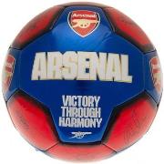 Accessoire sport Arsenal Fc TA10984
