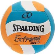 Ballons de sport Spalding Extreme pro