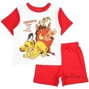 Ensembles enfant Disney -