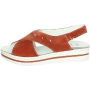 Sandales Scholl VALENTINA CROSS