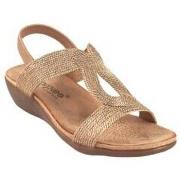Chaussures Amarpies Sandale femme 26621 abz bronze