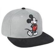 Casquette enfant Cerda Accessoires garçon CERDÁ 2200003346 gris