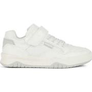 Baskets basses enfant Geox perth sneakers white lt grey