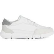 Baskets basses Geox adacter sneakers