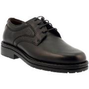 Derbies Fluchos 3120