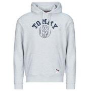 Sweat-shirt Tommy Jeans TJM REG WASHED PREP EXPLR HOODIE