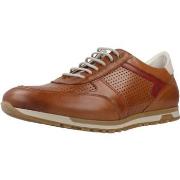 Derbies Fluchos F1188