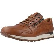 Derbies Kangaroos K558