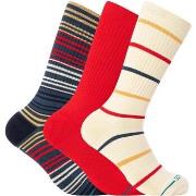 Chaussettes Stance Lot de 3 chaussettes Boardwalk