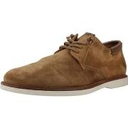 Derbies Cetti C1351