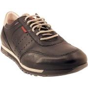 Derbies Fluchos Sander F1186