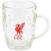 Accessoire sport Liverpool Fc TA11775