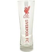 Accessoire sport Liverpool Fc SG2890